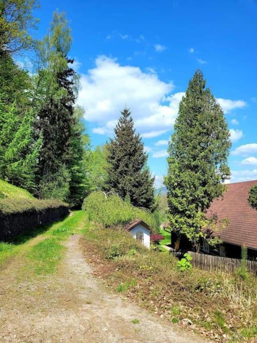 Roubenka U Kaplicky Villa Liberec Eksteriør bilde